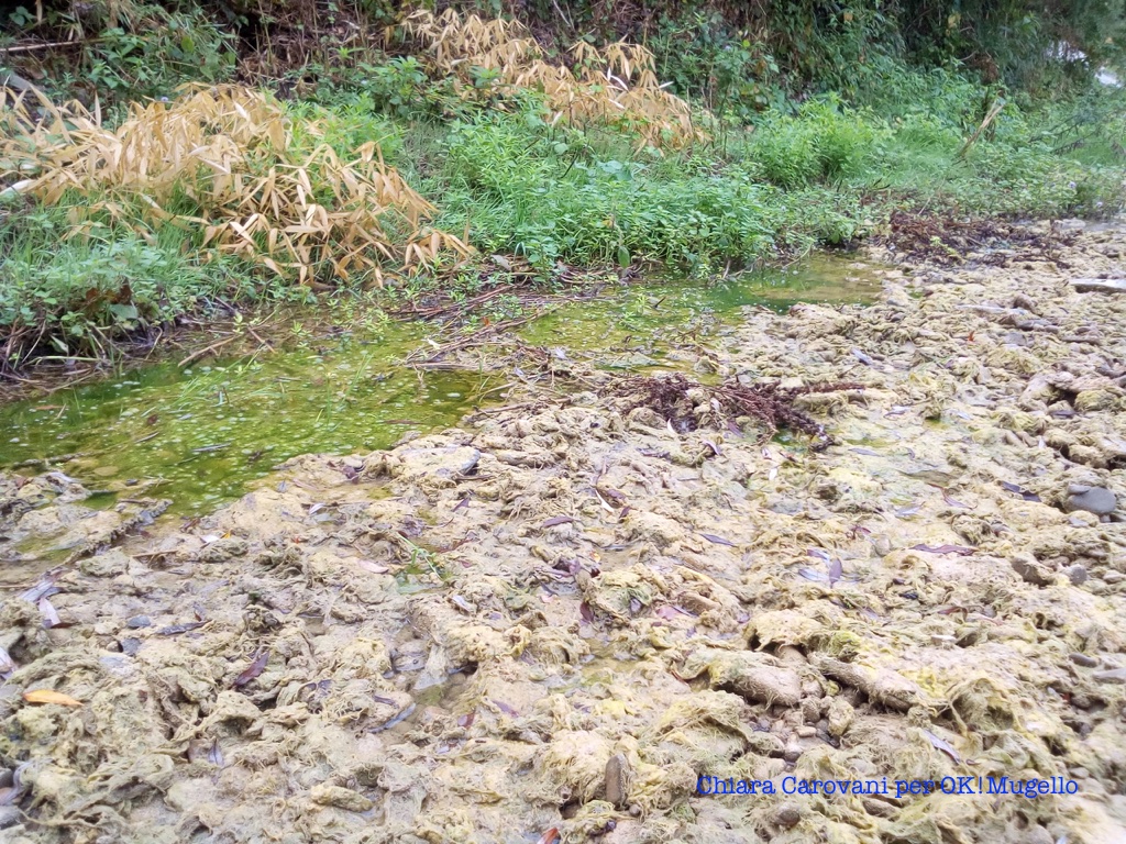torrente_carza_18