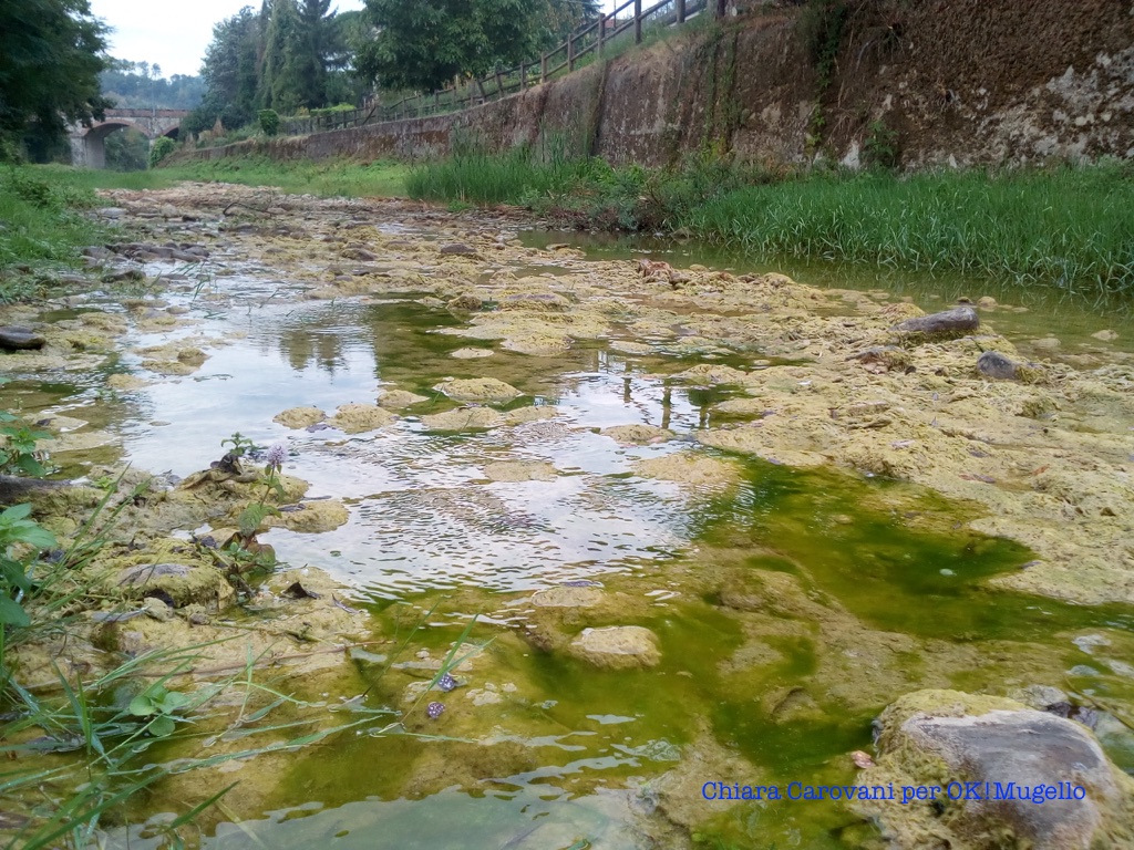 torrente_carza_21
