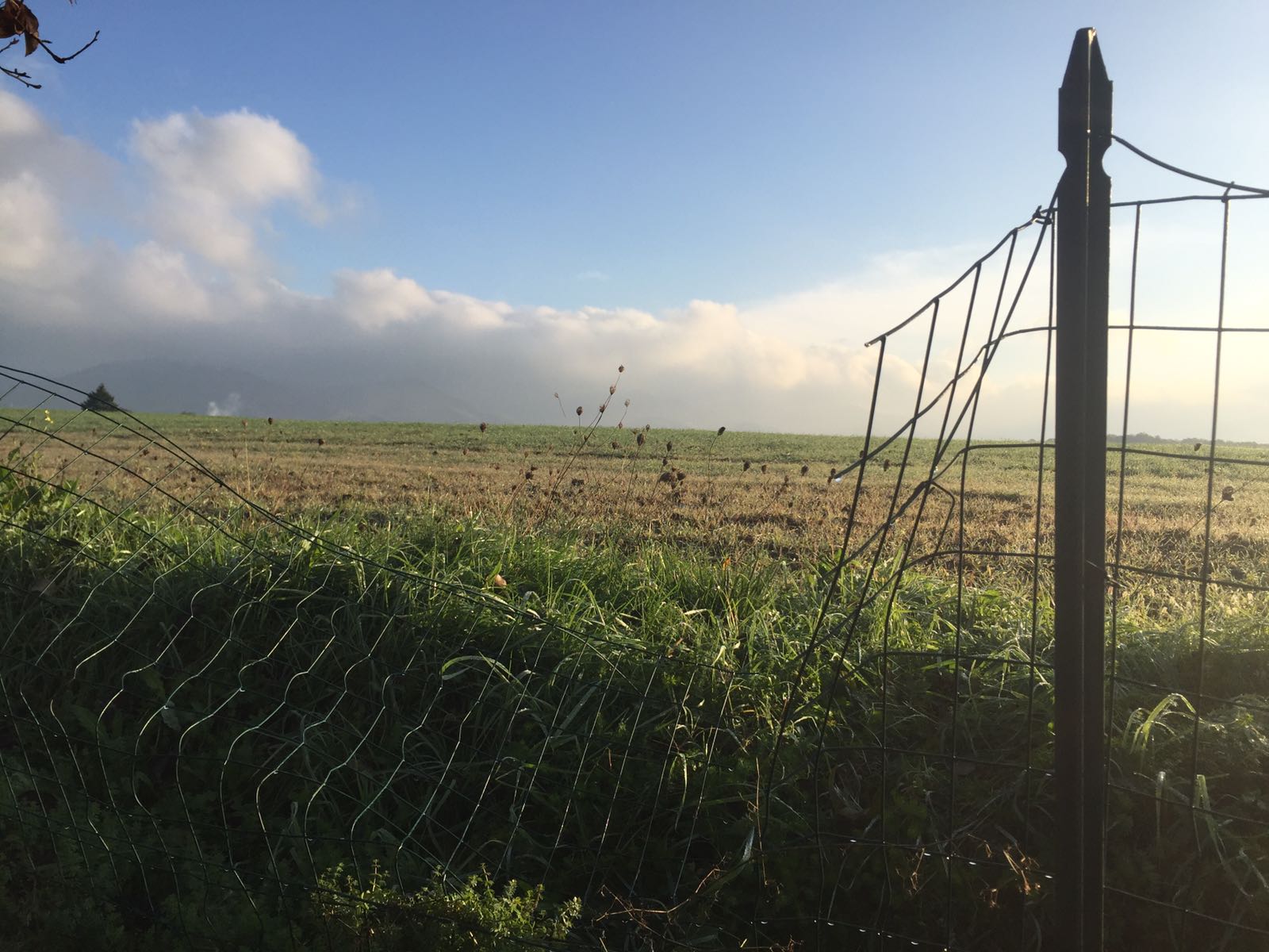 Tentato furto a Borgo. Alcuni consigli per la prevenzione