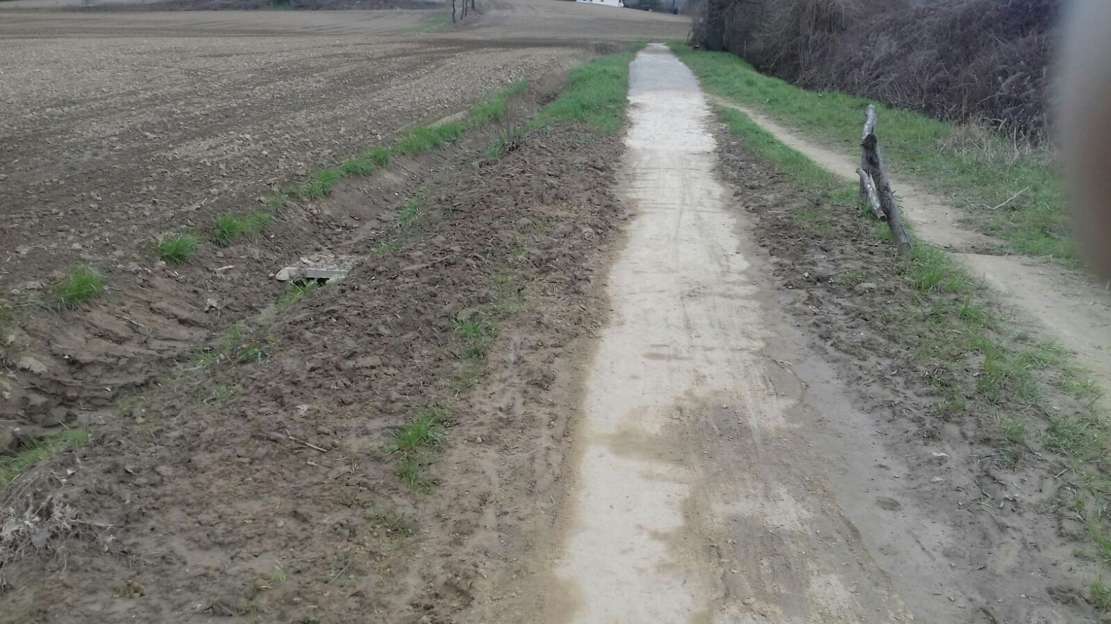 Mota e fango. Problemi di viabilità sulla ciclicabile