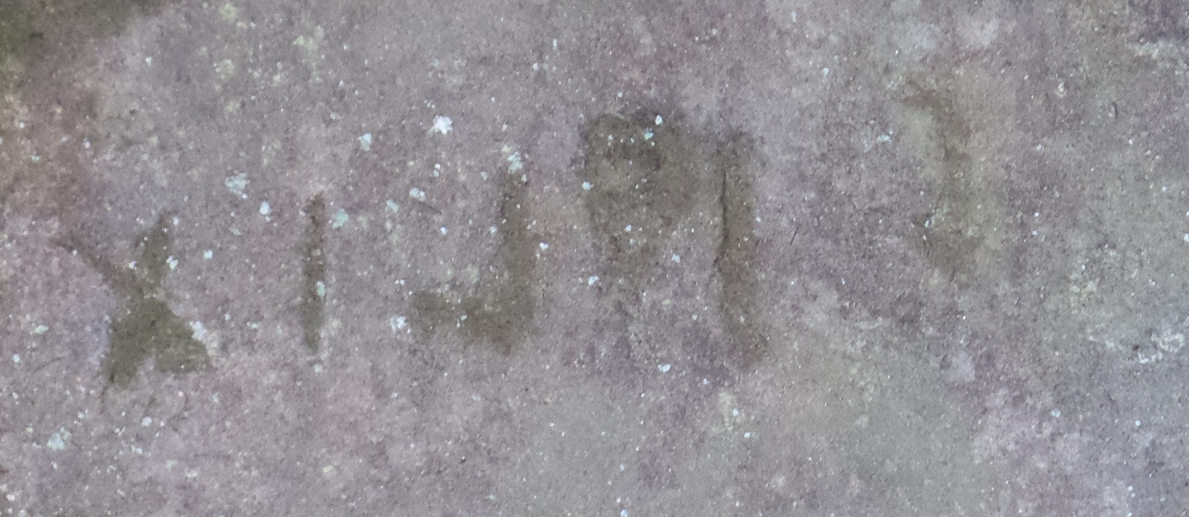 Etruschi a Montesenario. Nuova scoperta di Paolo Campidori