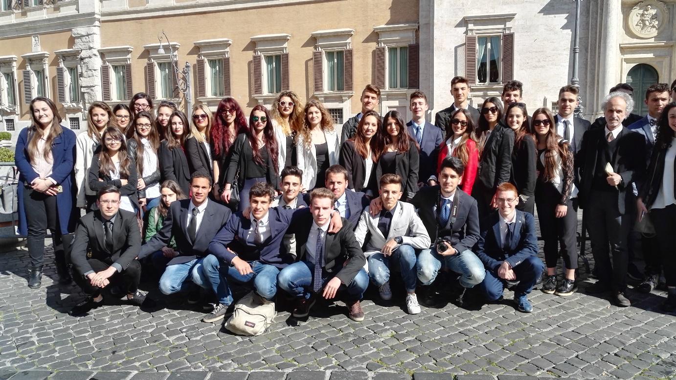 giotto ulivi roma badiali 1