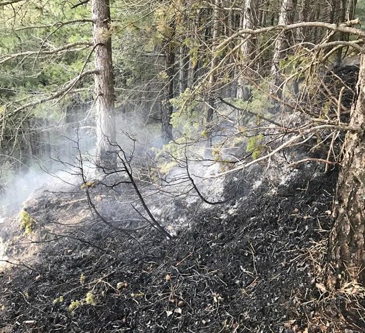 Incendio di Dicomano, tutti i dettagli dell'intervento. E l'area resta presidiata