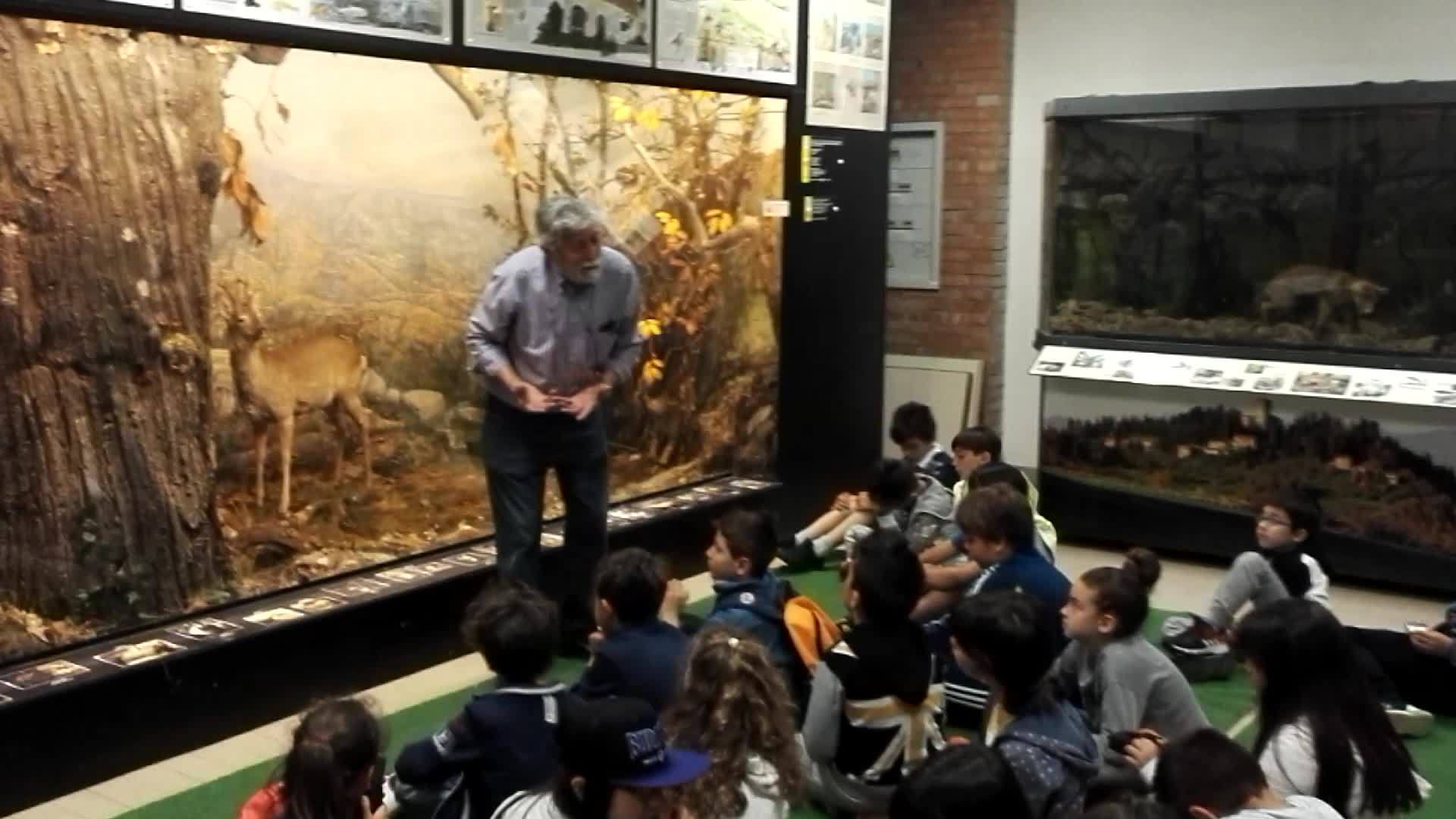 Giotto Ulivi per il Mugello. Bimbi di Dicomano a lezione dal prof. Bassani. Il video