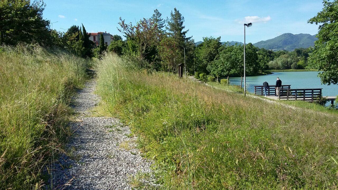lago-vicchio-1