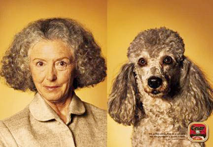 Cani e padroni. Stasera il secondo Mercoledì nel Borgo