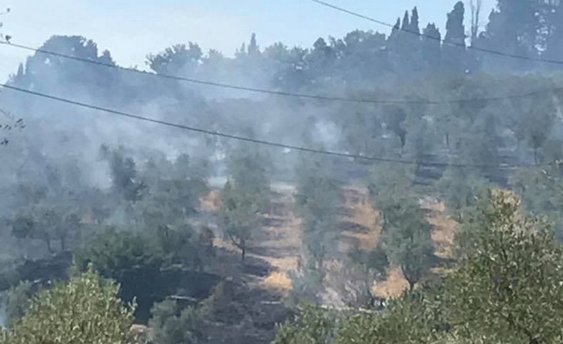 Incendio di Fiesole. I Forestali trovano le cause: attenzione ai mezzi agricoli