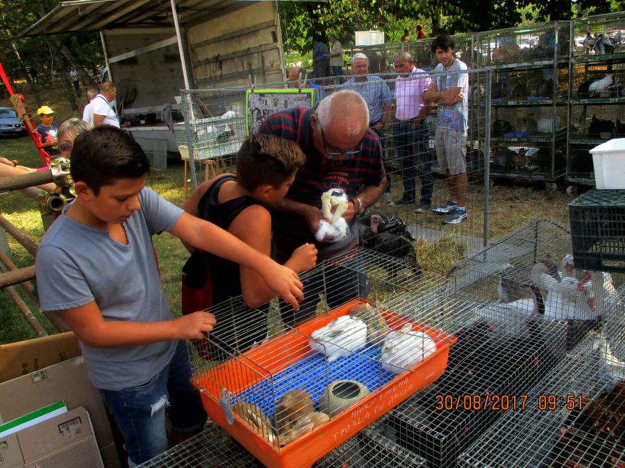 Vicchio, grande successo per la Fiera Calda 2017. Le foto