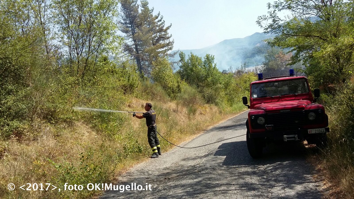 C'è un piromane in Mugello? Fatti e testimonianze: 'non possono essere coincidenze'
