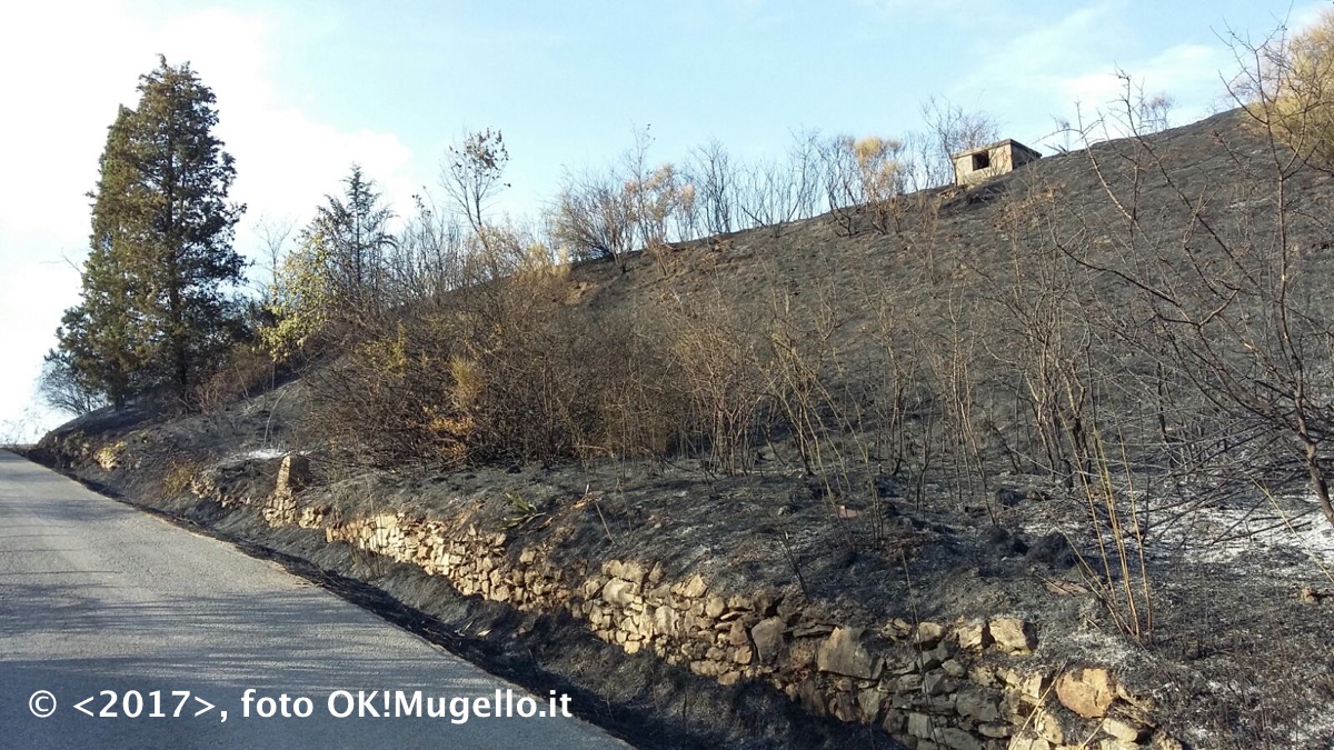 incendio_ampinana_03