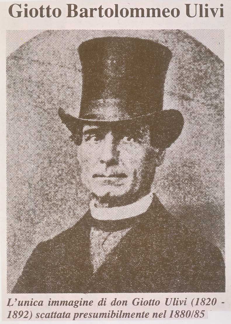 4-giotto-ulivi