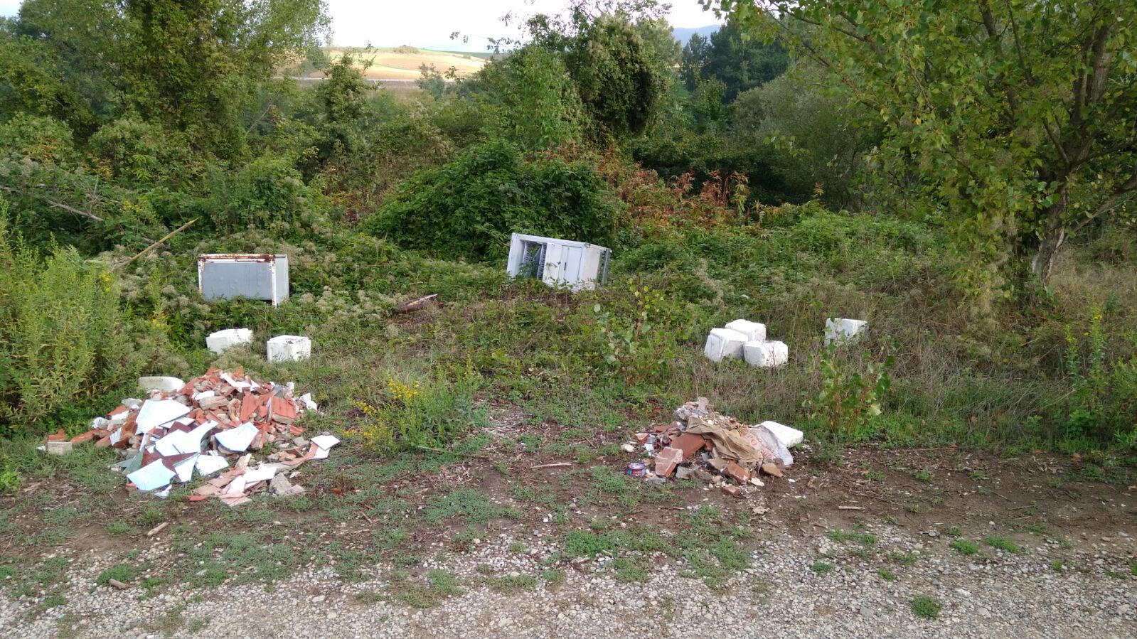 Rifiuti abbandonati e animali smarriti. Nuovi messaggi a OK!Mugello