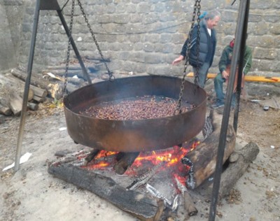 Marradi. I marroneti visti da Simone Berretti: tra sentieri persi e scampoli di storia