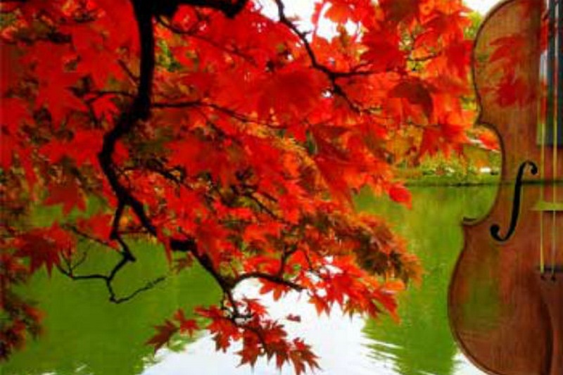 Un autunno di cultura a Vicchio. Tutte le iniziative in programma