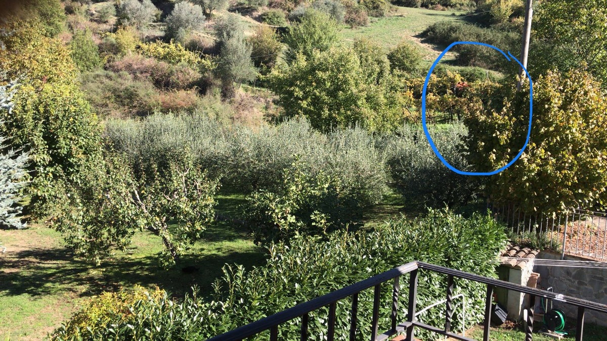 Spari vicino alle case? I cacciatori replicano, e spiegano