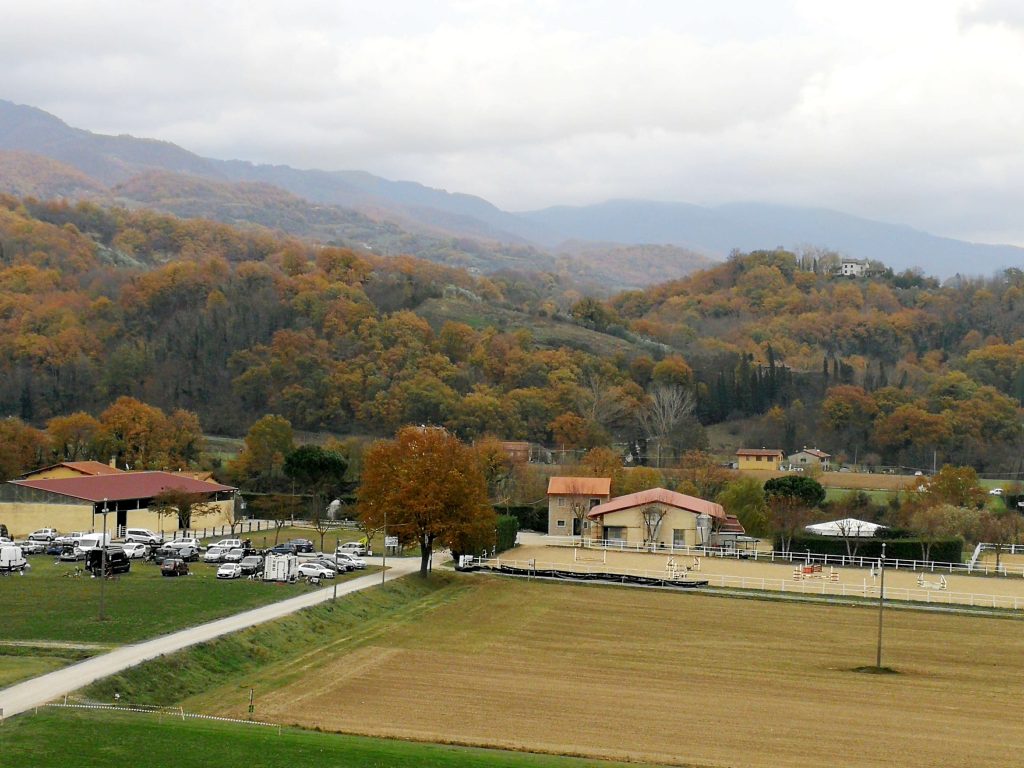 A Vicchio, Gran Premio Sleddog su terra