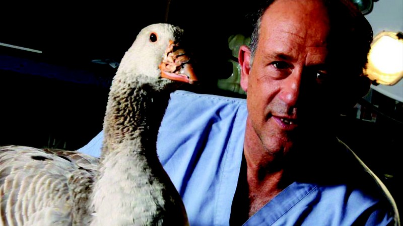 Becco di Rame. Il teatro per le scuole insegna la diversità a 800 bambini