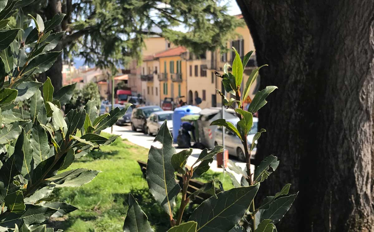 Tutto quel cibo gettato dal centro di accoglienza di Borgo. Lettrice indignata