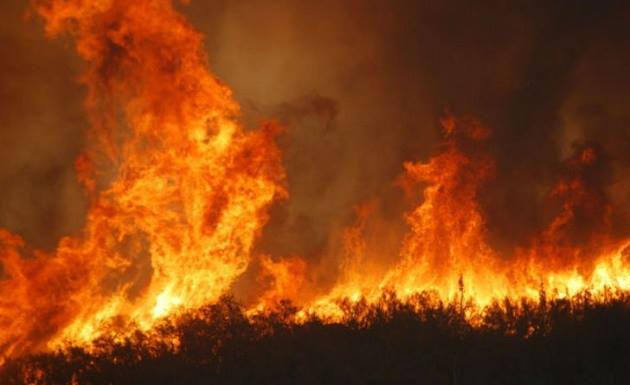 Incendi: un nuovo studio sulle previsioni stagionali, lo dice il Cnr