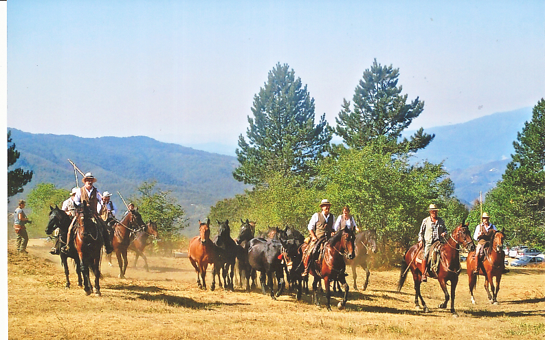 L’antica Fiera dei Poggi al Muraglione