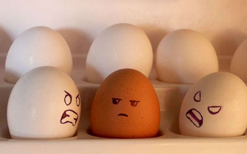 Razzismo strisciante anche in Mugello? Lettera di una giovane ragazza