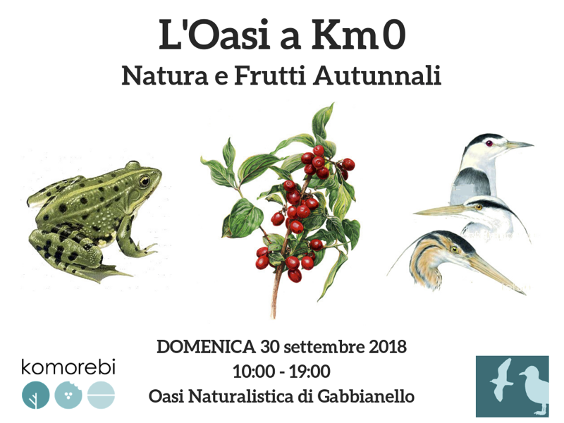 Gabbianello. L'Oasi naturalistica a Km0