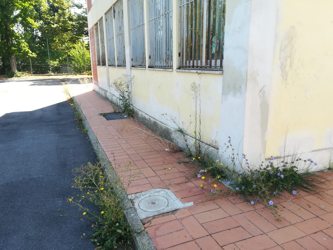 Scuole medie. L'ingresso è una piscina, e il retro un bosco. Foto