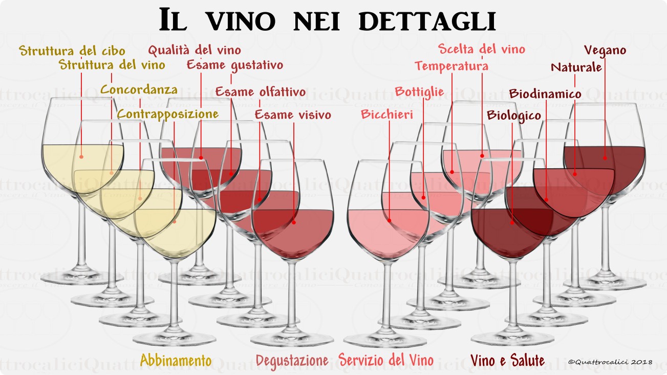 Nuovi corsi di avvicinamento al vino organizzati da Go Wine