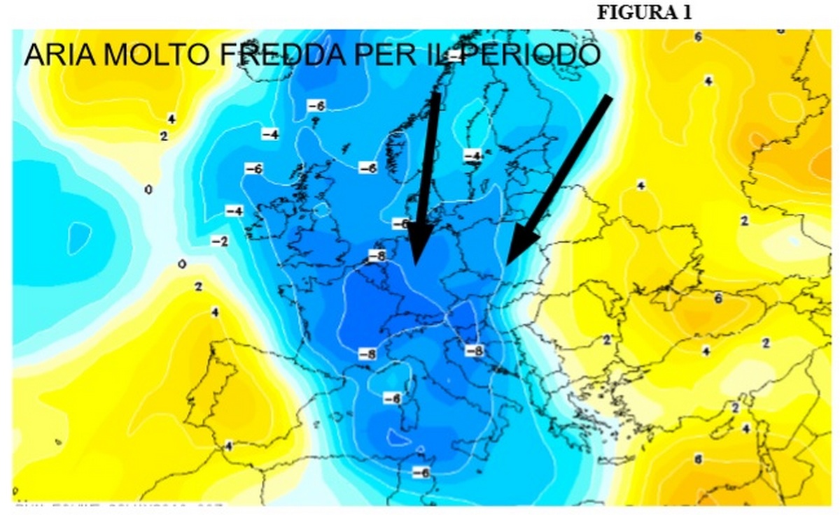 freddo