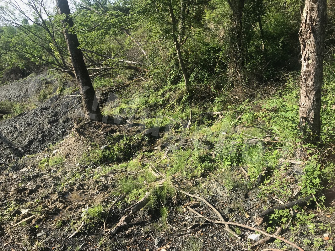 Frana-via-del-fossato5-8 Jul 2019