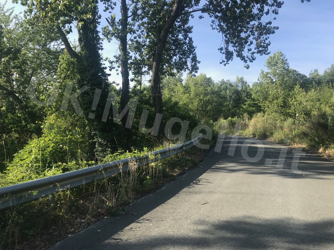 Frana-via-del-fossato9-8 Jul 2019