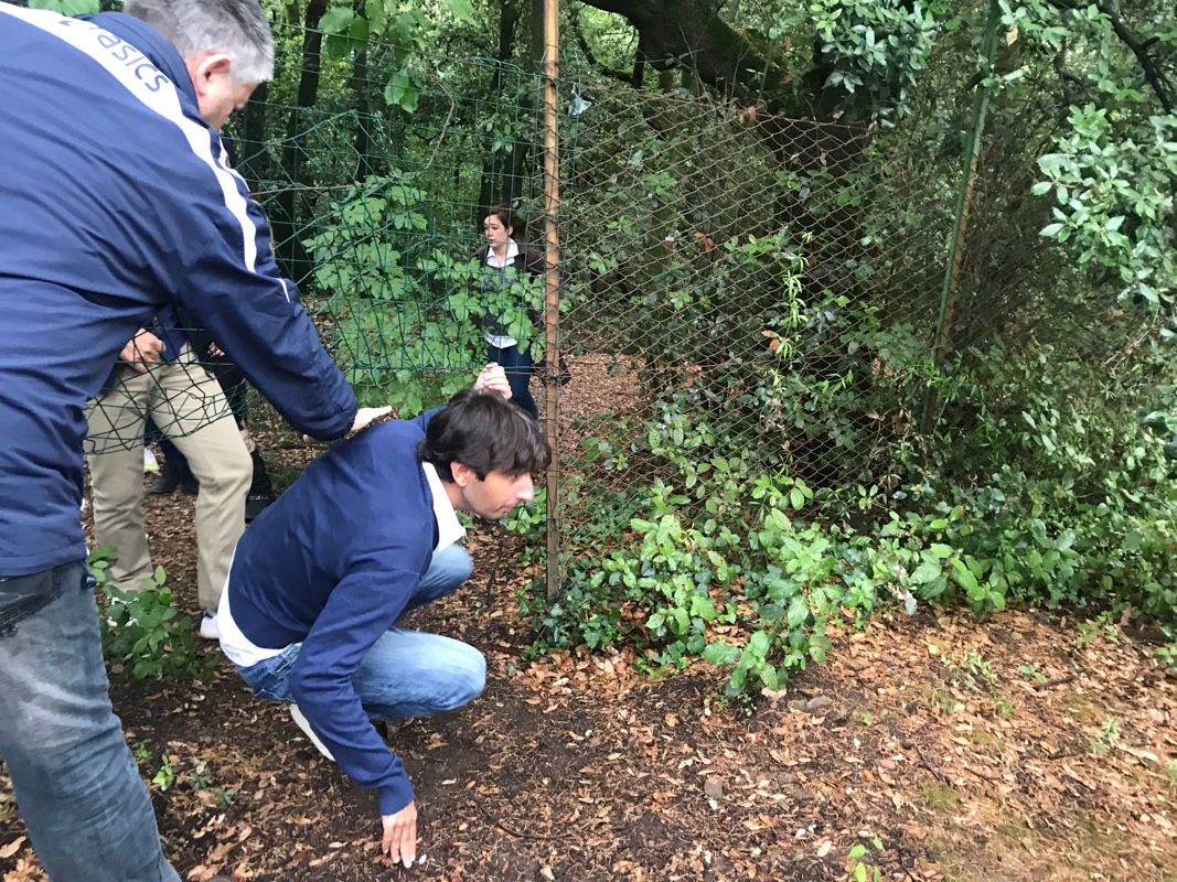 Sanatorio-banti-donzelli-marcheschi05-15 Jul 2019