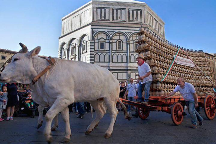 bacco rufina firenze