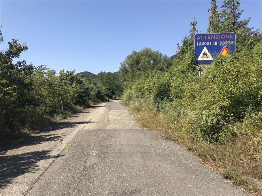 tagliaferro-ieri-e-oggi-2