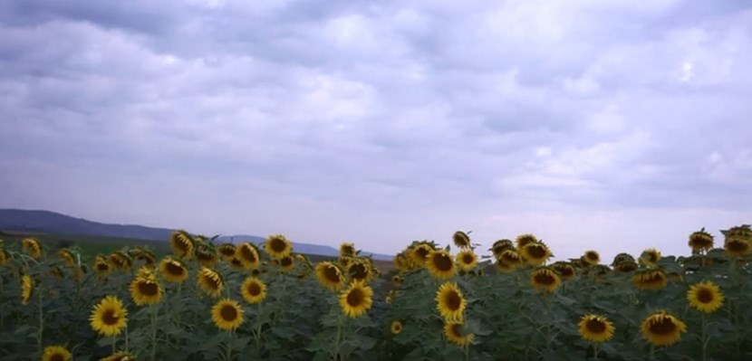 Il Suono del Mugello