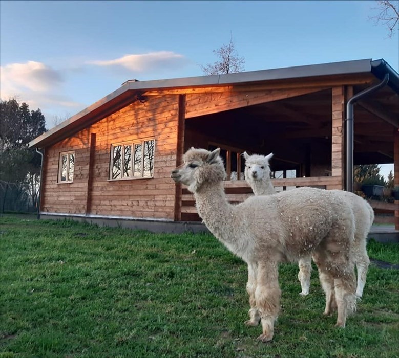 anche al tramonto si cerca i ragazzi