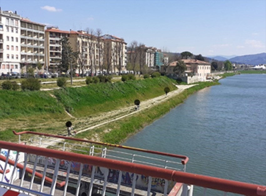 passeggiando e giocando col cane lungo l'Arno