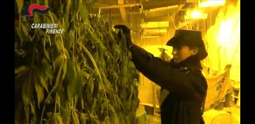 Foto dell'operazione Carabinieri di Pontassieve per filiera produttiva di Marijuana