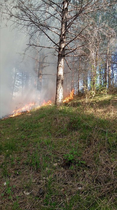 L'intervento a Barberino