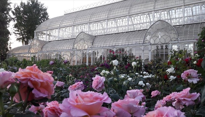 Mostra di piante e fiori al giardino dell'Orticoltura