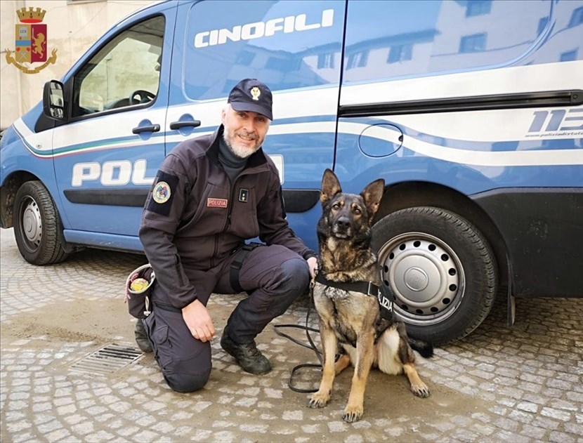 Mia, il cane antidroga della polizia di Firenze