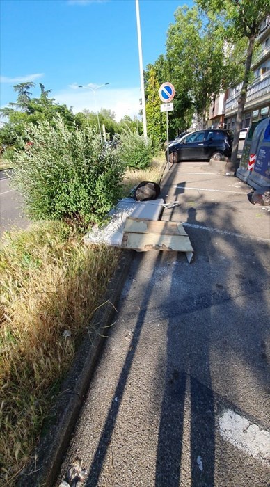 Il degrado di viale Guidoni