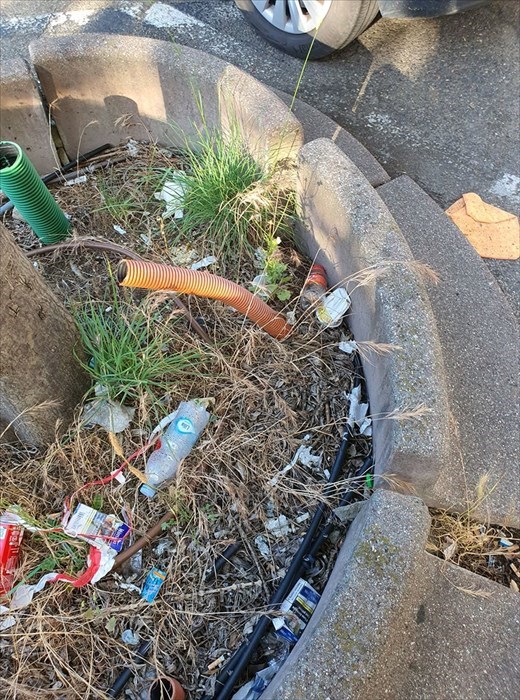 Il degrado di viale Guidoni