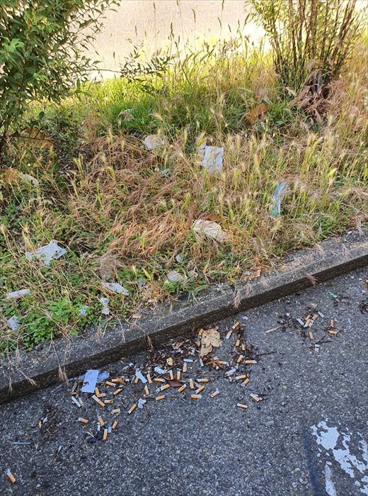 Il degrado di viale Guidoni