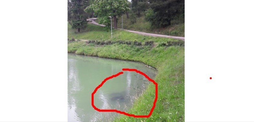 Il motorino nel lago