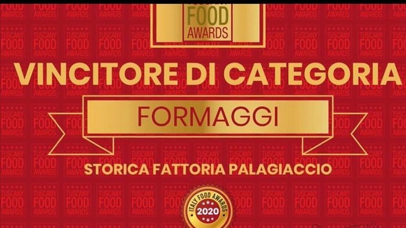 Il logo al I° Premio