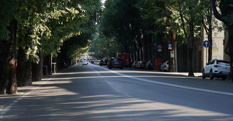 Arrivano le piste ciclabili