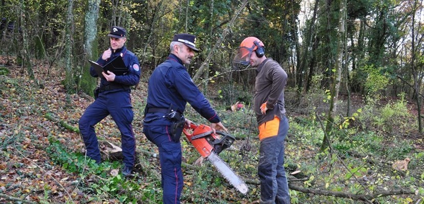 Controlli dei Forestali