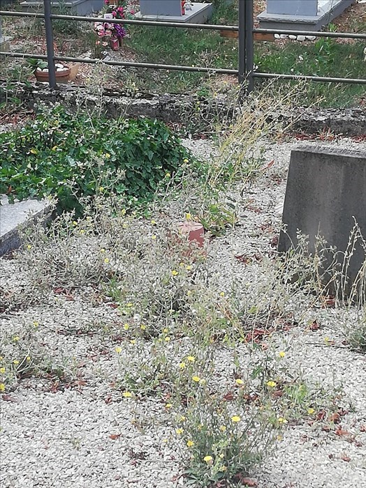 Cimitero di Pratolino