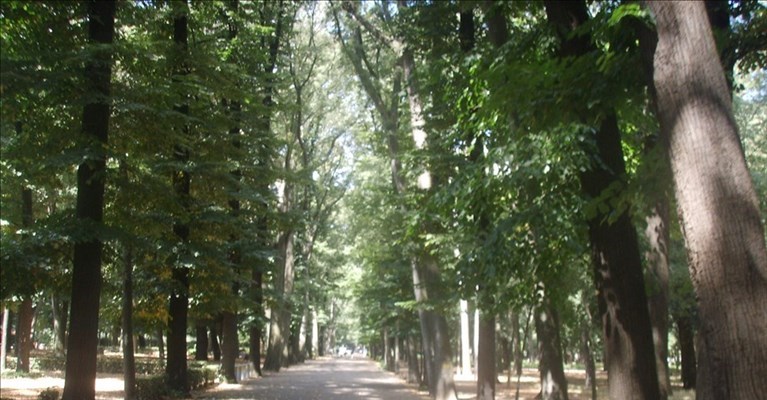 Condanna per la tragedia delle Cascine